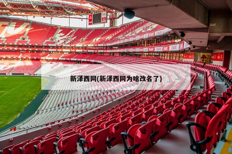 新泽西网(新泽西网为啥改名了)
