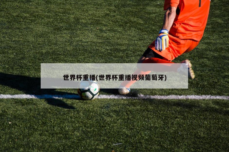 世界杯重播(世界杯重播视频葡萄牙)