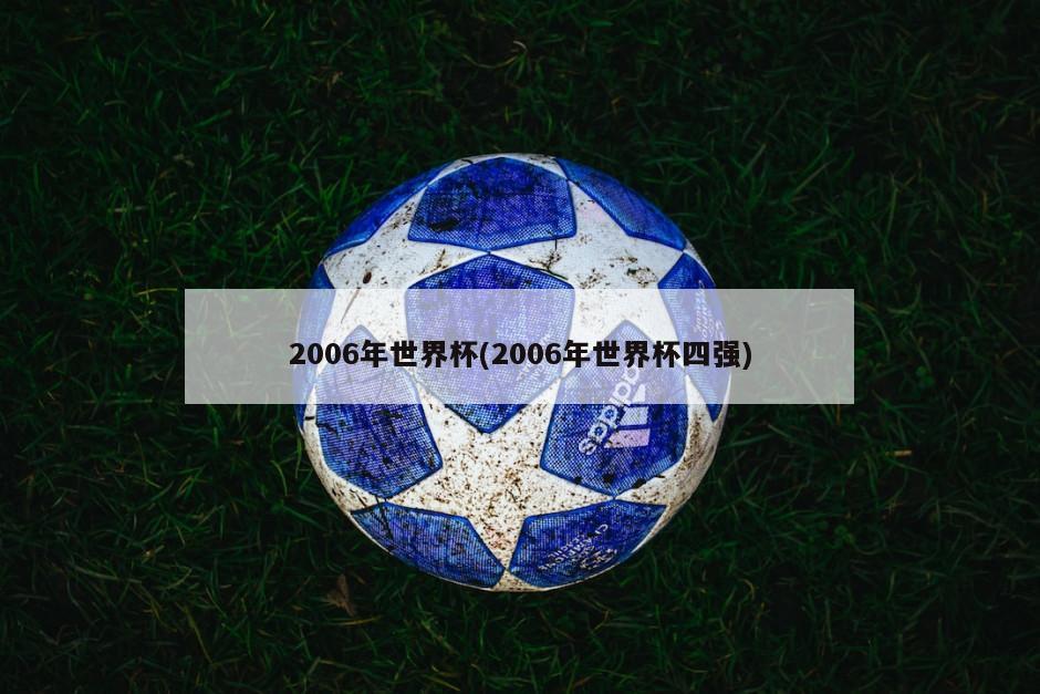2006年世界杯(2006年世界杯四强)