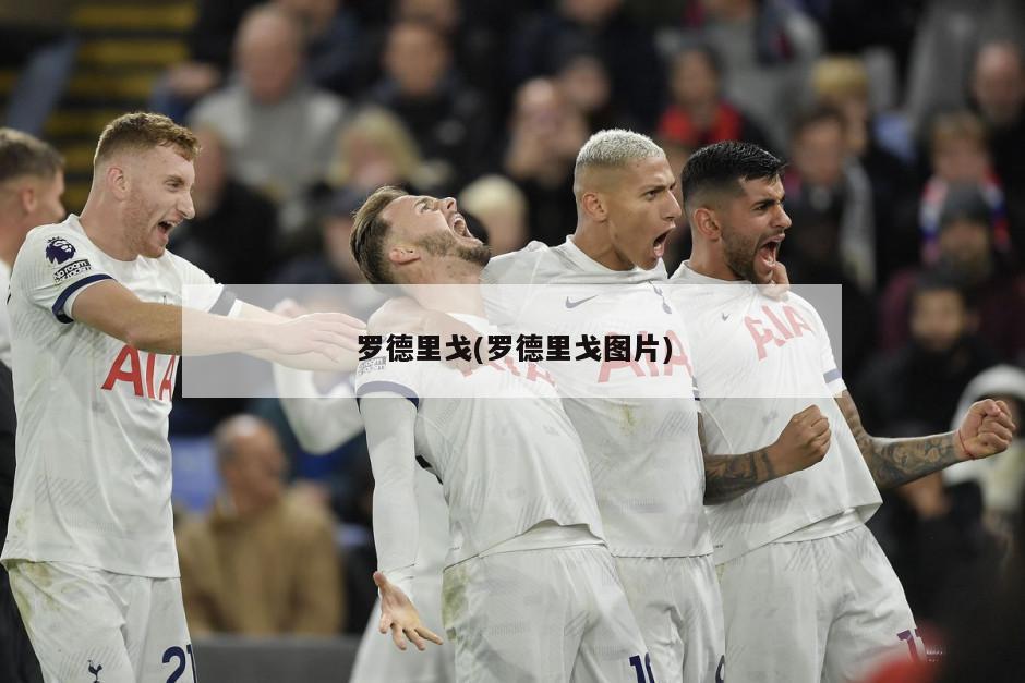 罗德里戈(罗德里戈图片)