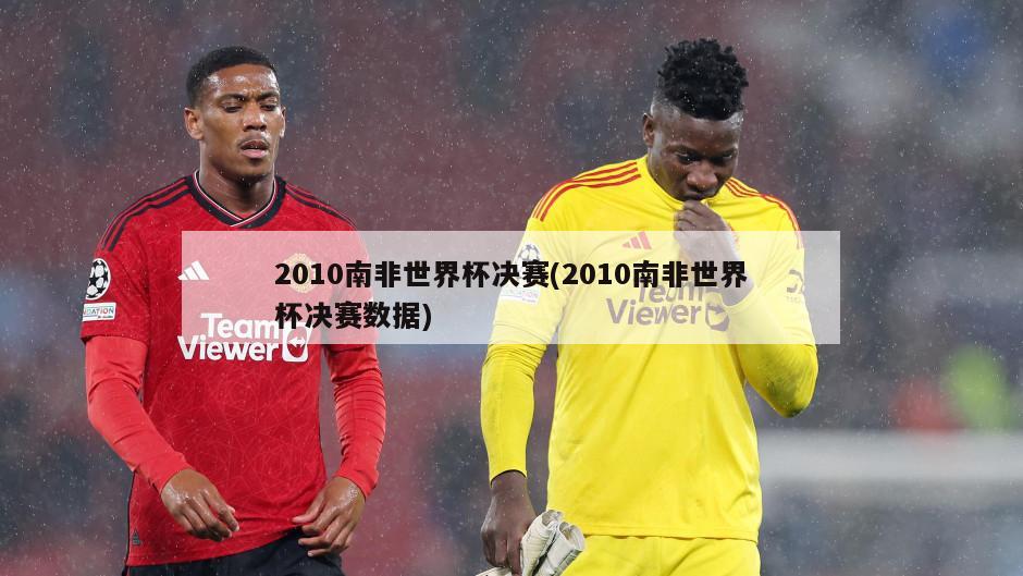 2010南非世界杯决赛(2010南非世界杯决赛数据)