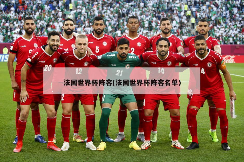 法国世界杯阵容(法国世界杯阵容名单)